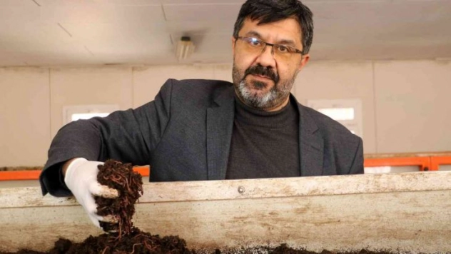 Türk bilim adamları buldu, kadınlar solucanla güzelleşecek