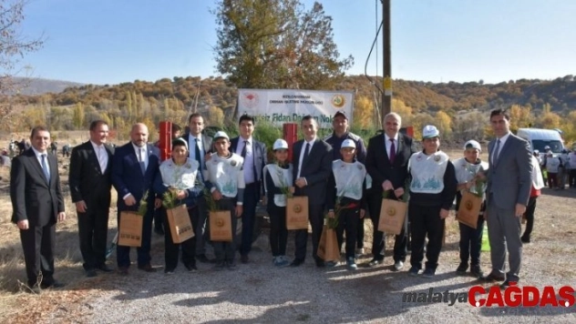 Türkiye'de 11 milyon, Kızılcahamam'da 20 bin fidan toprakla buluştu