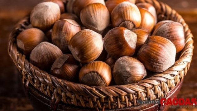 Türkiye fındık ihracatını ikiye katladı