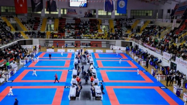 Türkiye Karate Şampiyonası, Sivas'ta başladı