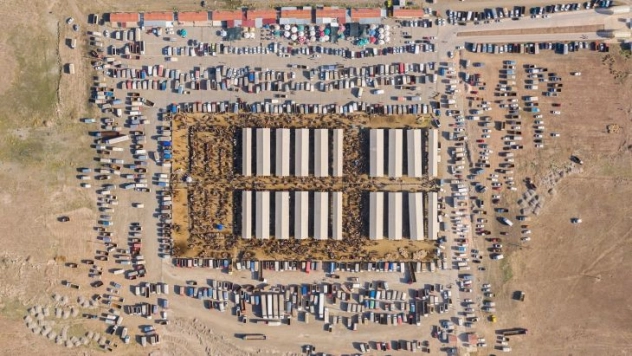 Türkiye'nin En Büyük Hayvan Pazarında Yoğunluk Yaşanıyor