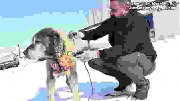 Türkiye'nin en yaşlıları arasında, yıllara meydan okuyor