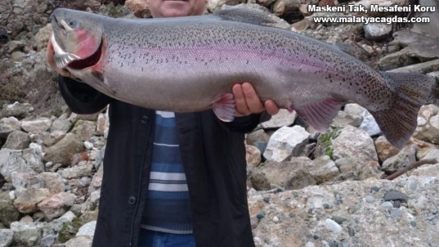 Türkiye ve Avrupa'nın en büyük alabalığı Elazığ'da olta ile yakalandı, tam 115 santim