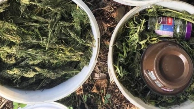 Turşu bidonları içinde kubar esrar ele geçti