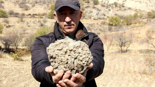 Tut'ta 10 kilo ağırlığında 65 milyon yıllık deniz mercanı bulundu