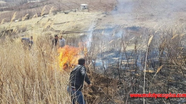 Tut'ta otluk alanda yangın çıktı