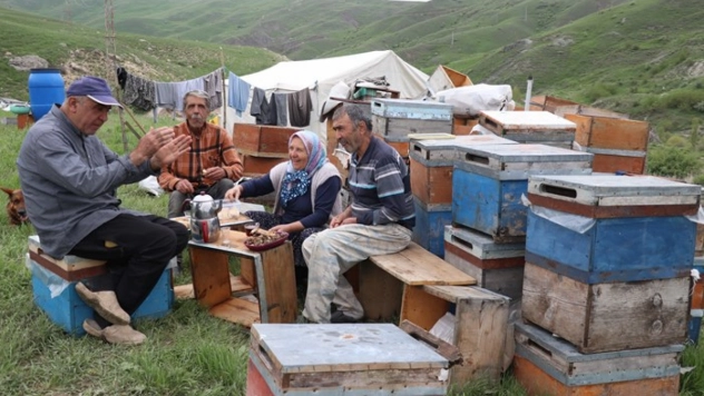 Üç kardeş Ağrı'nın dağlarında omuz omuza bal üretiyor
