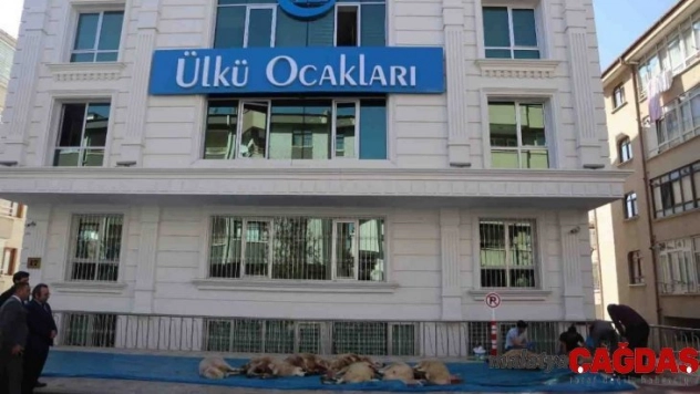 Ülkü Ocakları'ndan Mehmetçiğe kurban