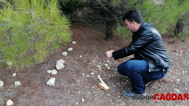 Ülkücü Ocakları doğaya yem bıraktı