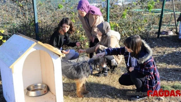 Umuttepe'deki sokak hayvanlarına yardım eli