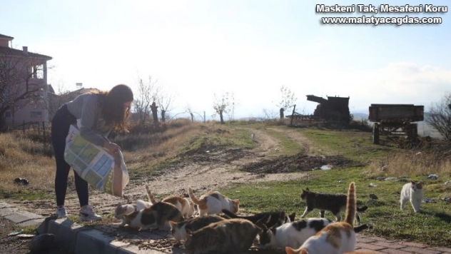 Mama kumbarası ile sokak hayvanlarına destek