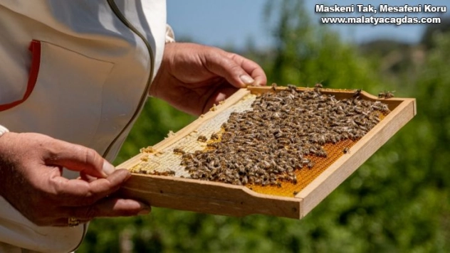 Üretimde ilk sırada, ihracata hazırlanıyor