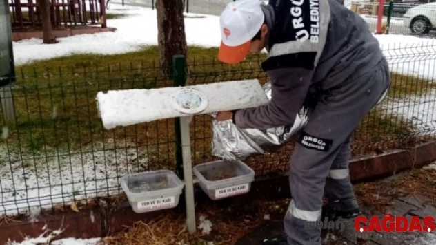 Ürgüp Belediyesi Sokak hayvanlarını unutmadı