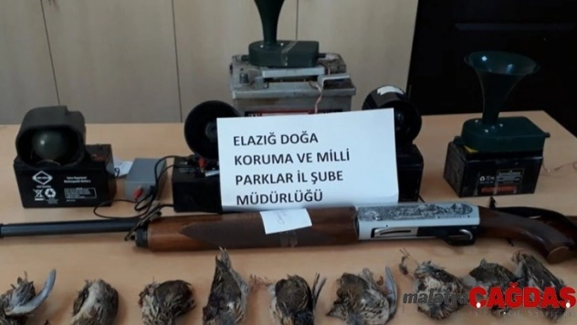 Usulsüz avlanan 2'si yabancı uyruklu 8 şahıs yakalandı