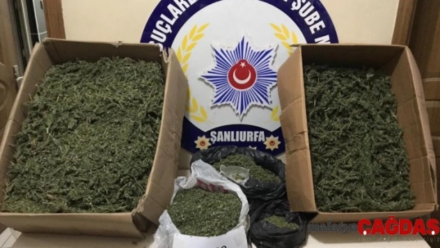 Uyuşturucu taciri bağ evinde yakalandı