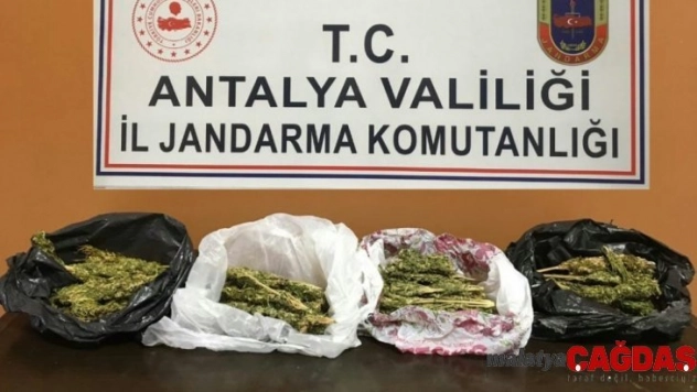 Uyuşturucu ticareti yapan anne ve oğlu tutuklandı