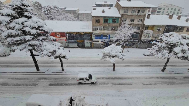 Uzmanından Bitlis için 'kar ve su hasadı' uyarısı