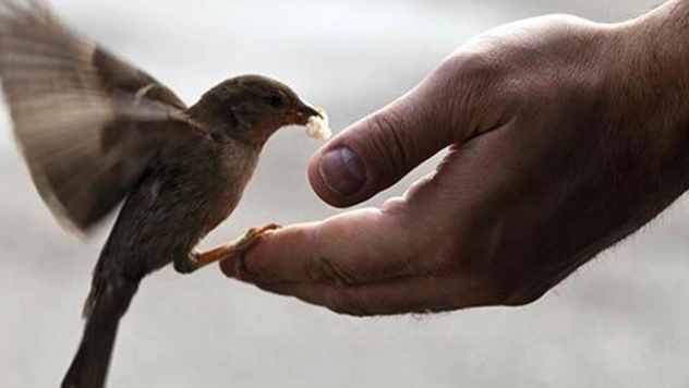 Uzmanlara göre iyiliğin gerçek gücü niyette saklı