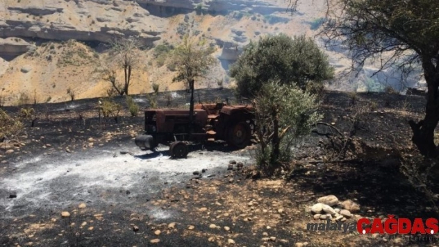 Üzüm ve badem bahçeleri küle döndü