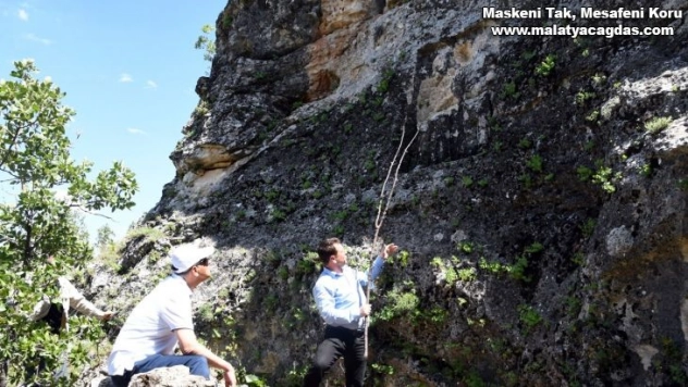 Vali Çuhadar, Haydaran Kaya Kabartmalarını inceledi