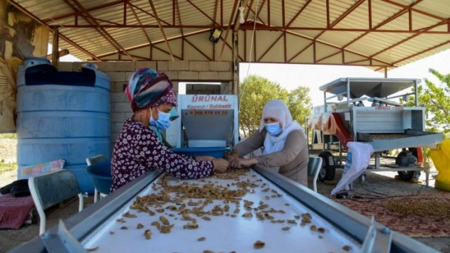 Vali Karaloğlu, Eğilli Badem Üreticilerinin Talebini Gerçekleştirdi