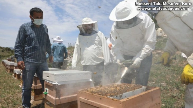 Vali profesyonel arıcılara taş çıkarttı