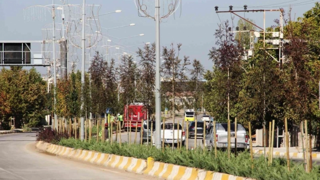 Van Büyükşehir Belediyesinden ağaç dikimi