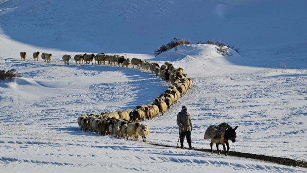 Van'da besiciler kışın zorluklarına rağmen hayvanların bakımını ihmal etmiyor