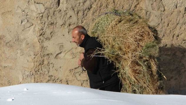 Van'da besicilerin zorlu kış mesaisi