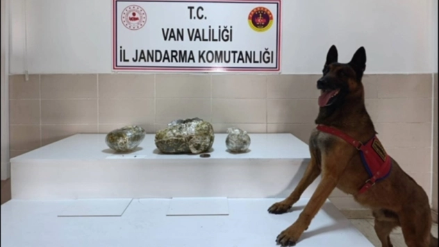 Van'da bir ayda 224 kilo uyuşturucu ele geçirildi