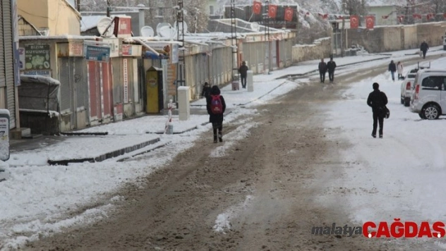 Van'da kar yağışı çevreyi beyaza bürüdü