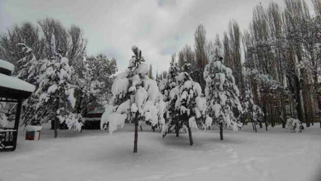 Van'da karla gelen güzellik: Ağaçlar kartpostallık manzaralar oluşturdu