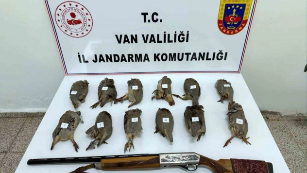 Van'da keklik avlayan kişiye 81 bin TL ceza