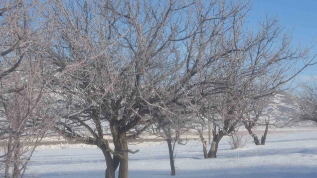 Van'da Sibirya soğukları hayatı olumsuz etkiliyor