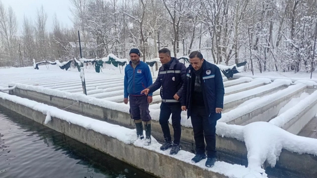 Van'da zorlu kış şartlarında alabalık üretimi mercek altında