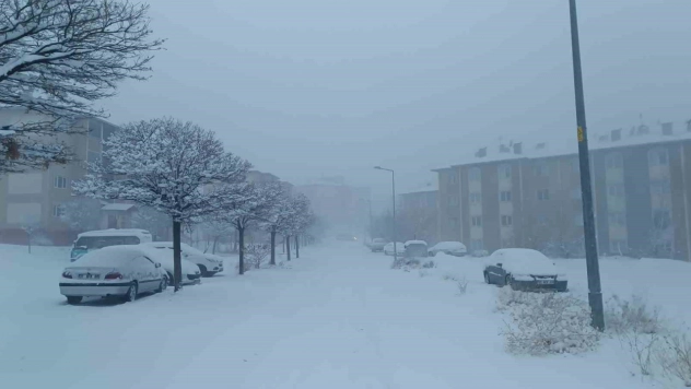 569 yol kapandı, uçak seferleri iptal edildi