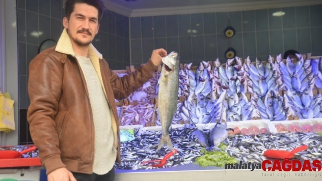 Vatandaşlar bu sene hamsi ve palamuda hasret kaldı