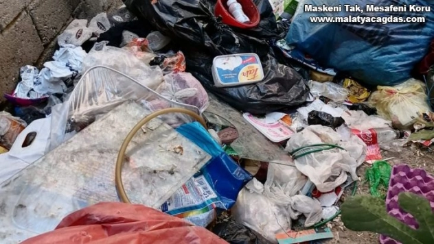 Vatandaşlar şikayet etti, Bağlar Belediyesi çöp evi temizledi