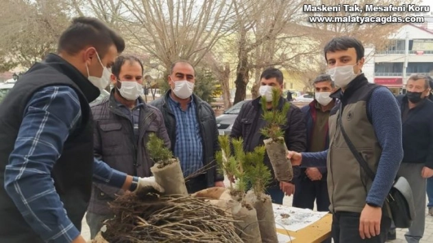 Vatandaşlara 650 adet fidan dağıtıldı