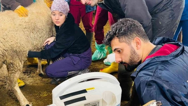 Veteriner Fakültesi öğrencileri çiftlik uygulama eğitimi gerçekleştirdi