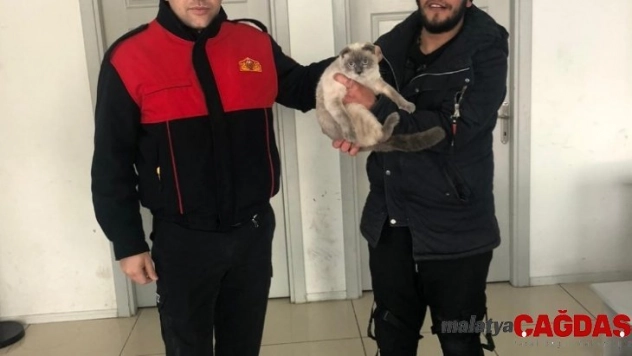 Veteriner kliniği çıkışı sahibinden kaçarak panoya saklanan ev kedisini itfaiye kurtardı