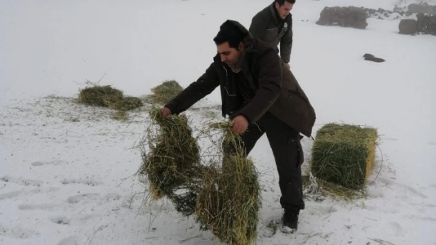 Yaban hayatı için doğaya yem bırakıldı