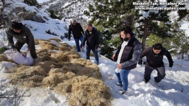 Yaban hayvanları için doğaya yem bırakıldı