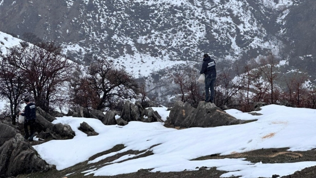 Yaban hayvanları için doğaya yem desteği