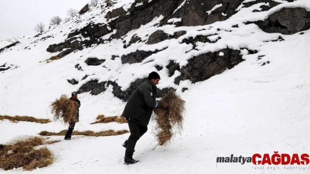 Yaban hayvanları için doğaya yem bırakılıyor