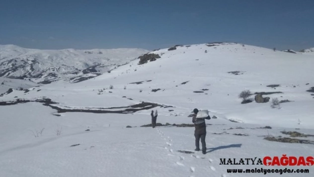 Yaban hayvanları unutulmadı