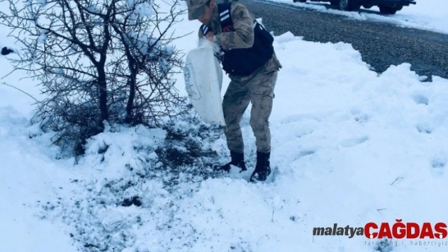 Yaban hayvanlarına Jandarma şefkatı