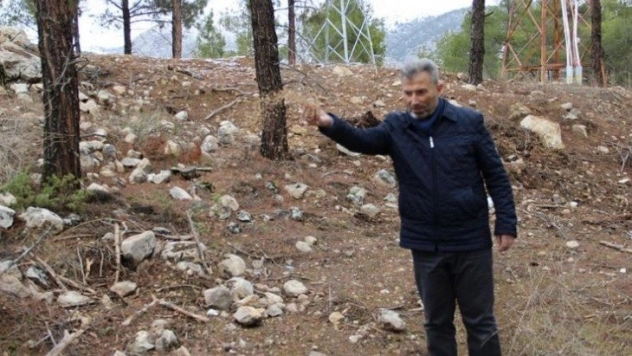 Yaban hayvanlarına yem bırakıldı