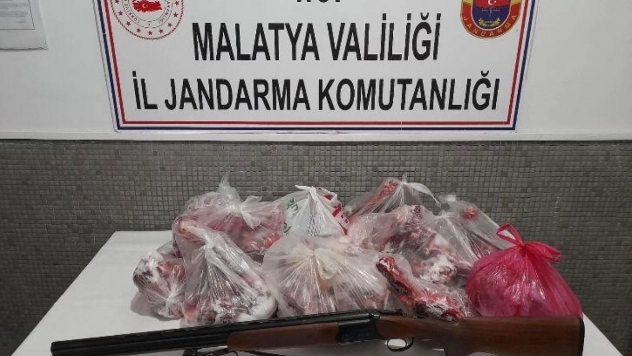 Yaban keçisi avlayan 2 kişiye 505 bin TL ceza