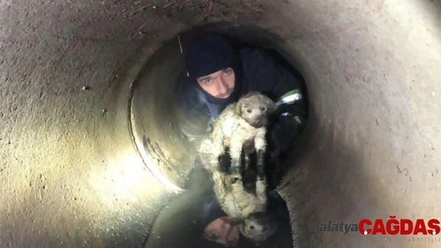 Yağmur kanalına sıkışan köpeği, itfaiye kurtardı